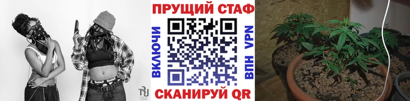 Наркота Губаха ГАШИШ  Меф мяу мяу 