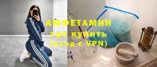 сатива Осташков
