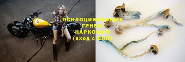 круглые Нягань