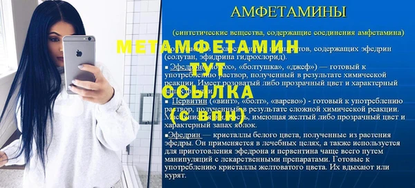 сатива Осташков