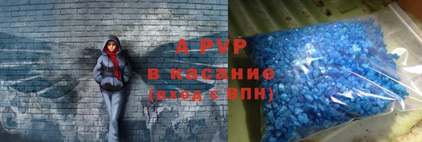 сатива Осташков