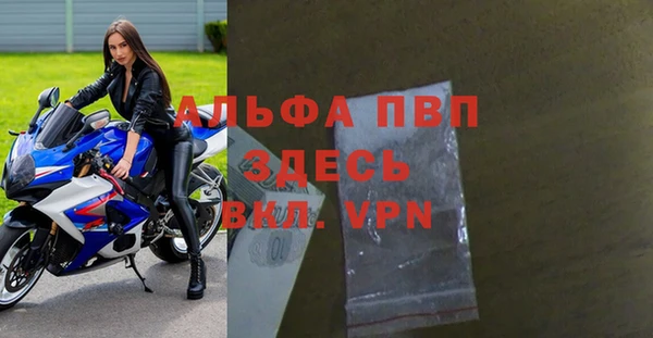 сатива Осташков