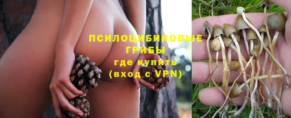 сатива Осташков