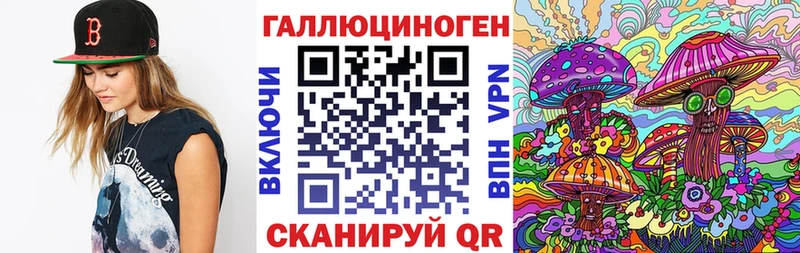 Псилоцибиновые грибы GOLDEN TEACHER  наркотики  Губаха 