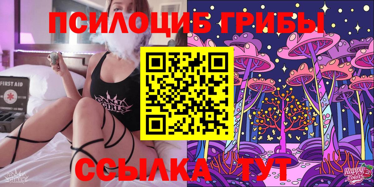 Галлюциногенные грибы Psilocybe  Губаха 